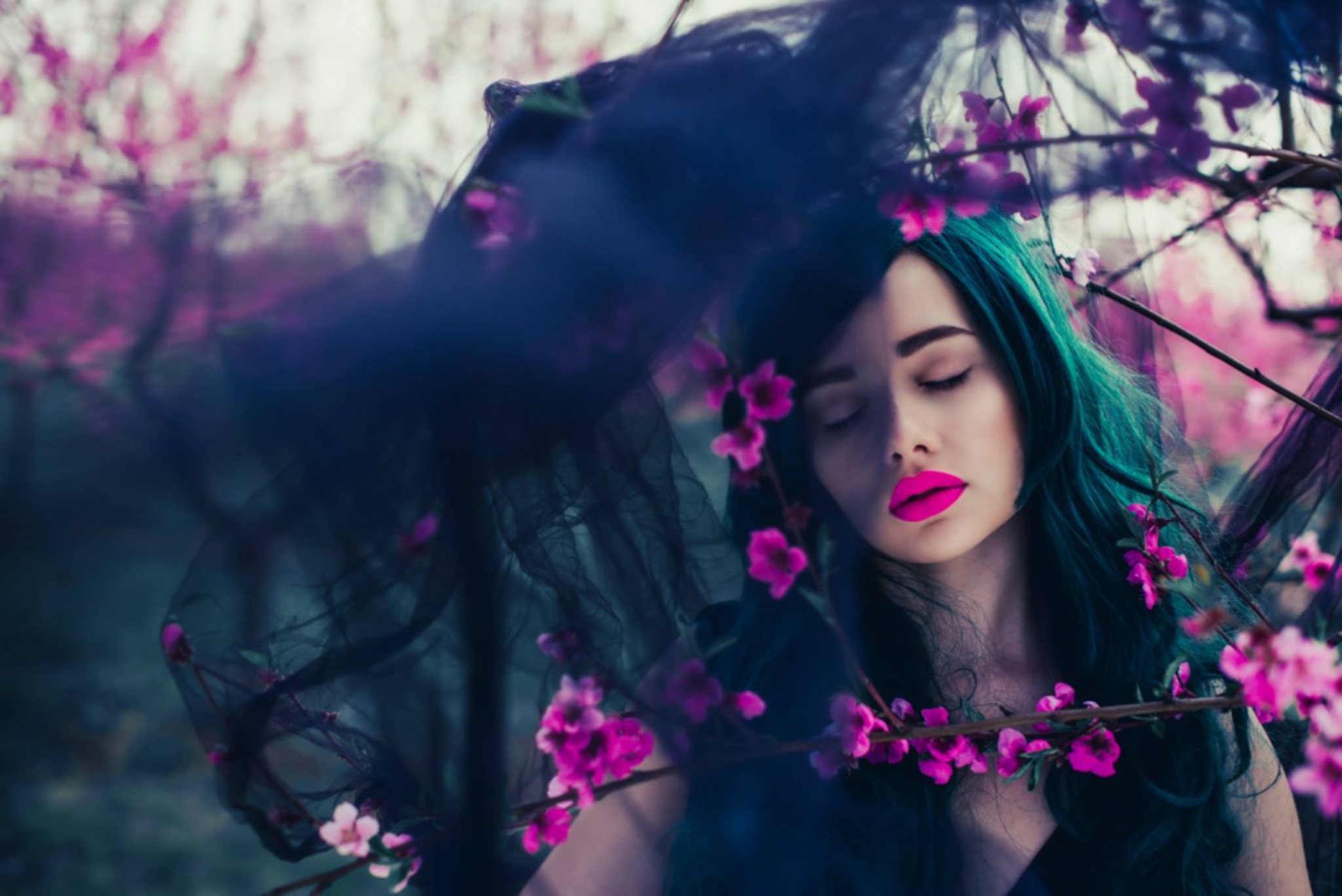 fine art photo