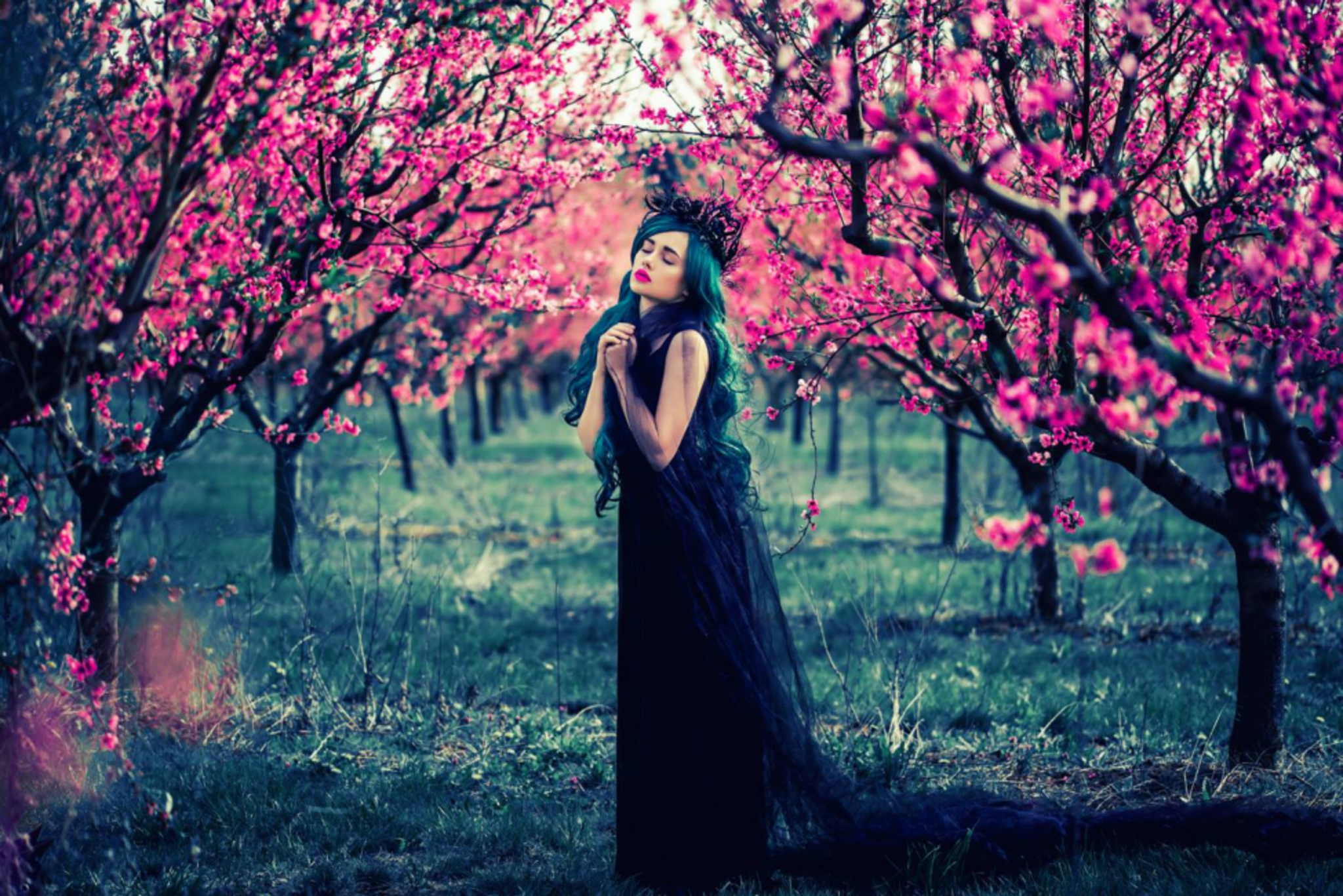 fine art photo