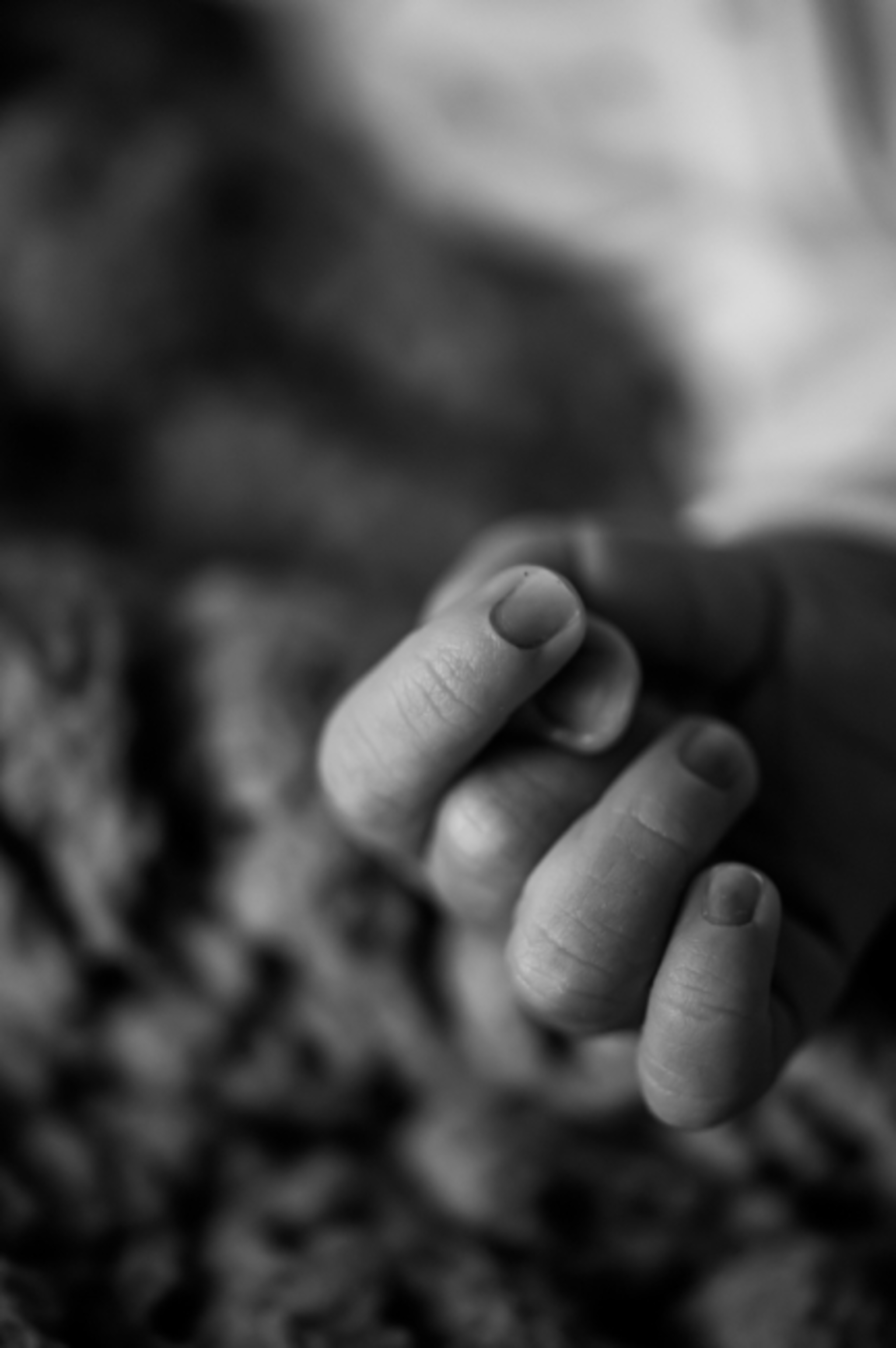 Newborn