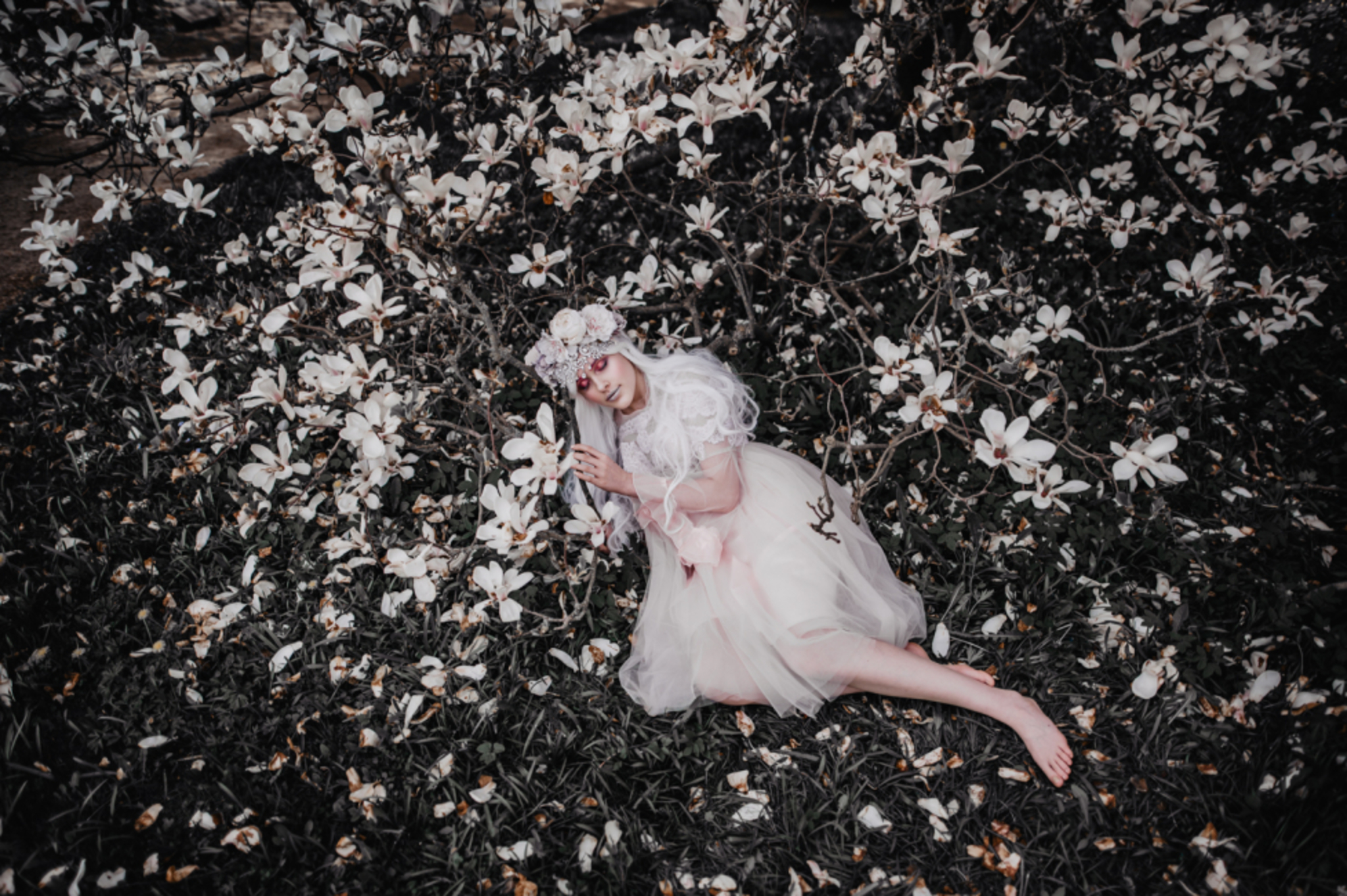 fine art photo