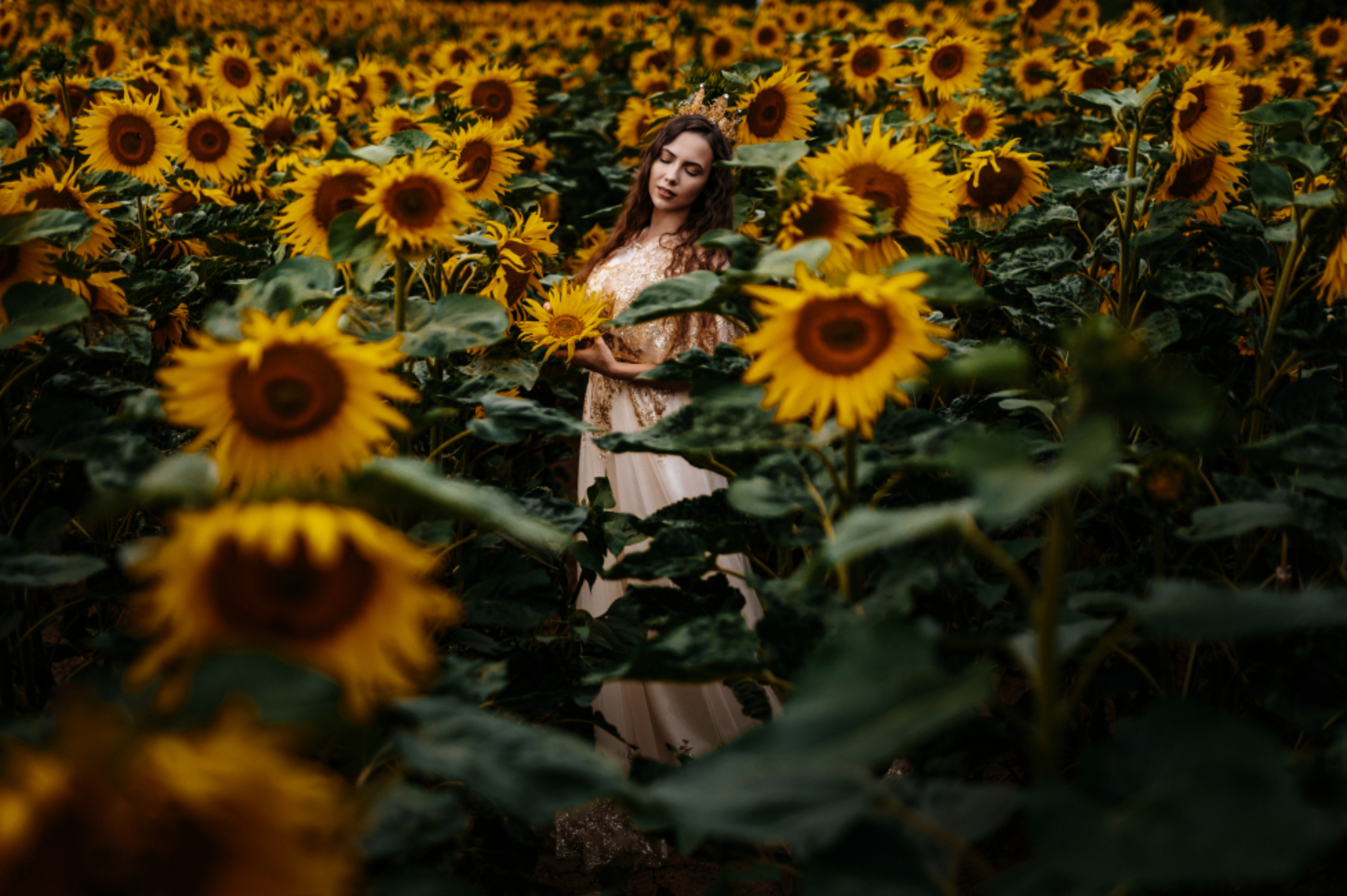 fine art photo