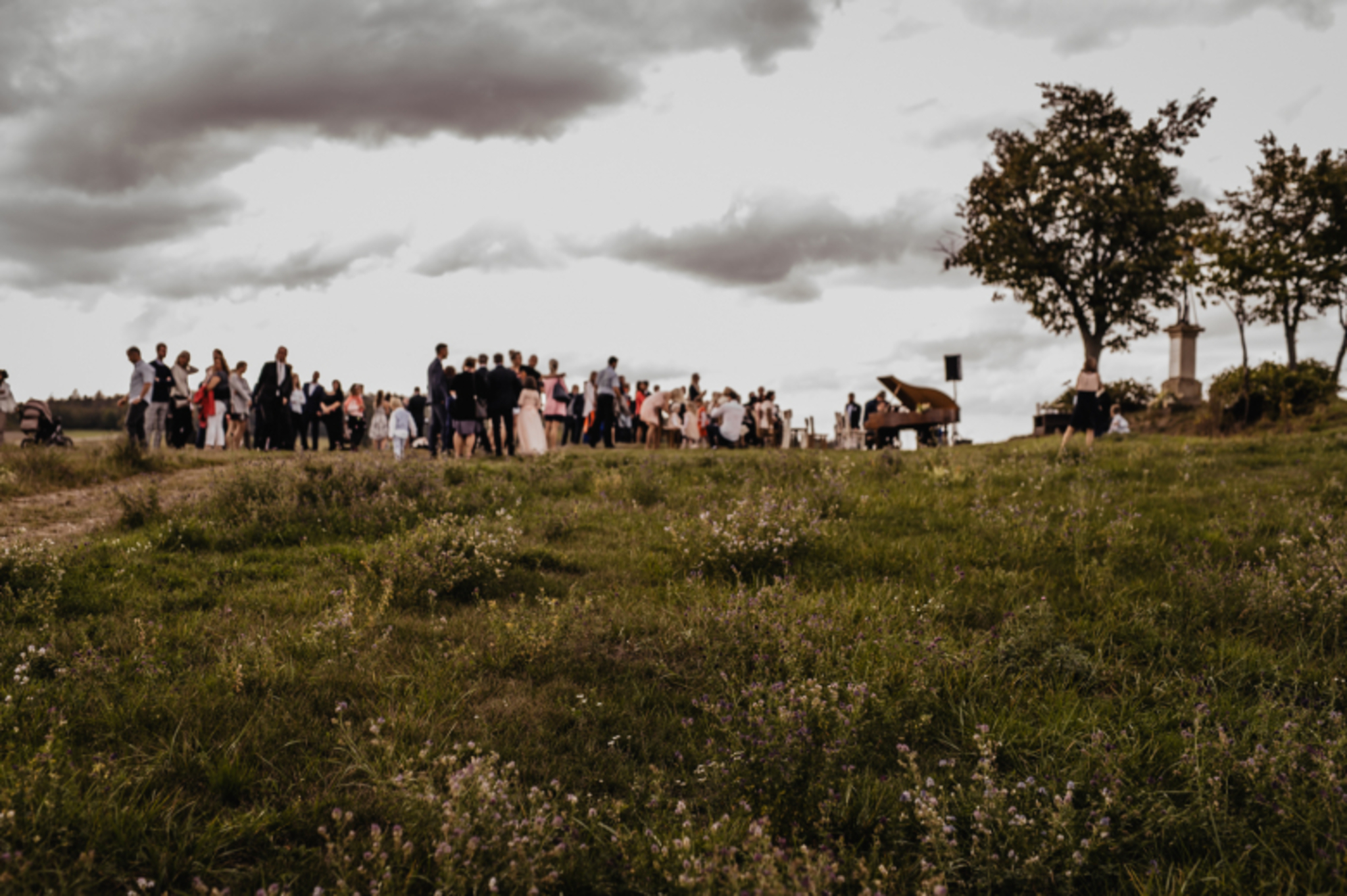 wedding