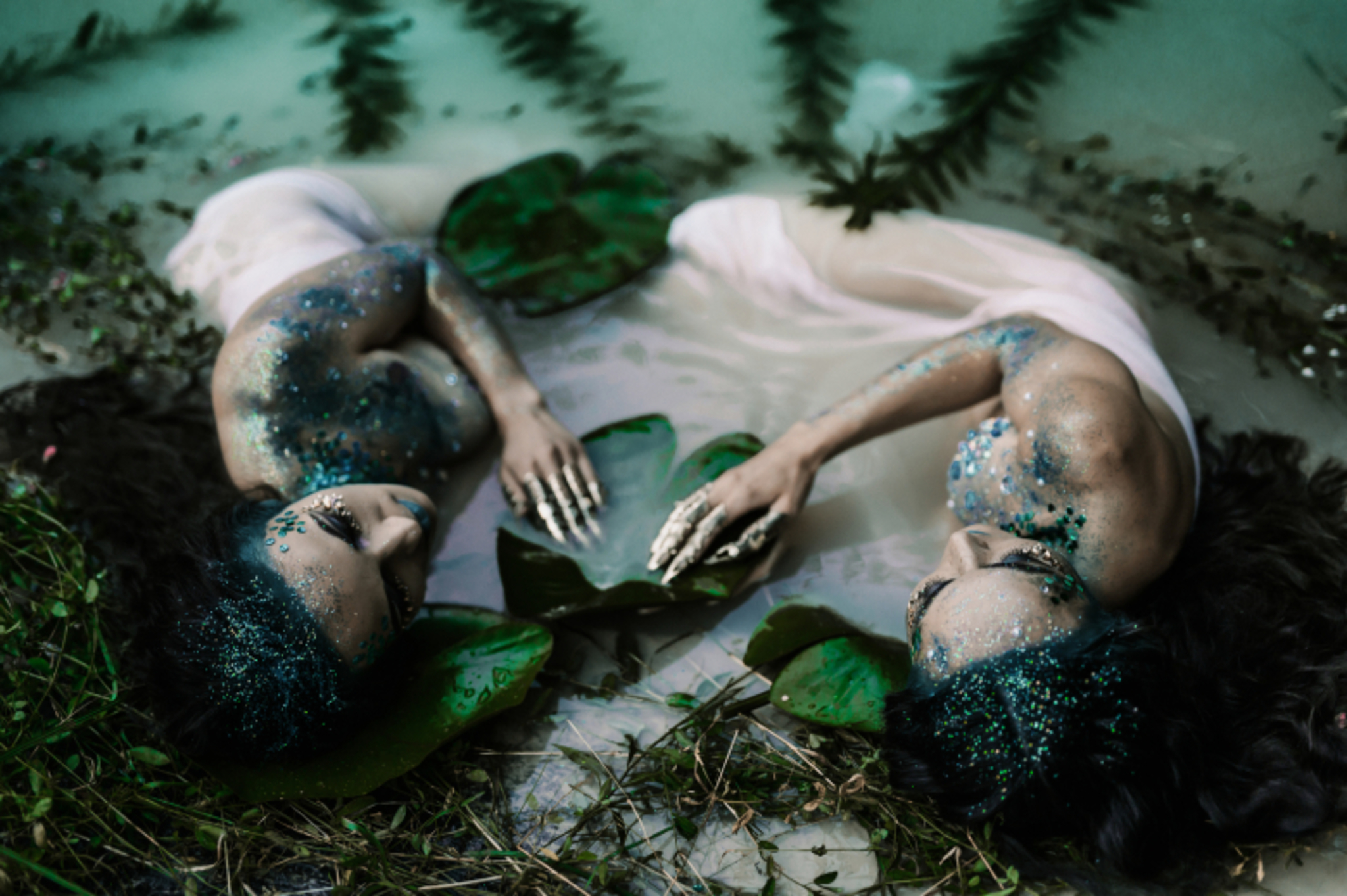 wonderland