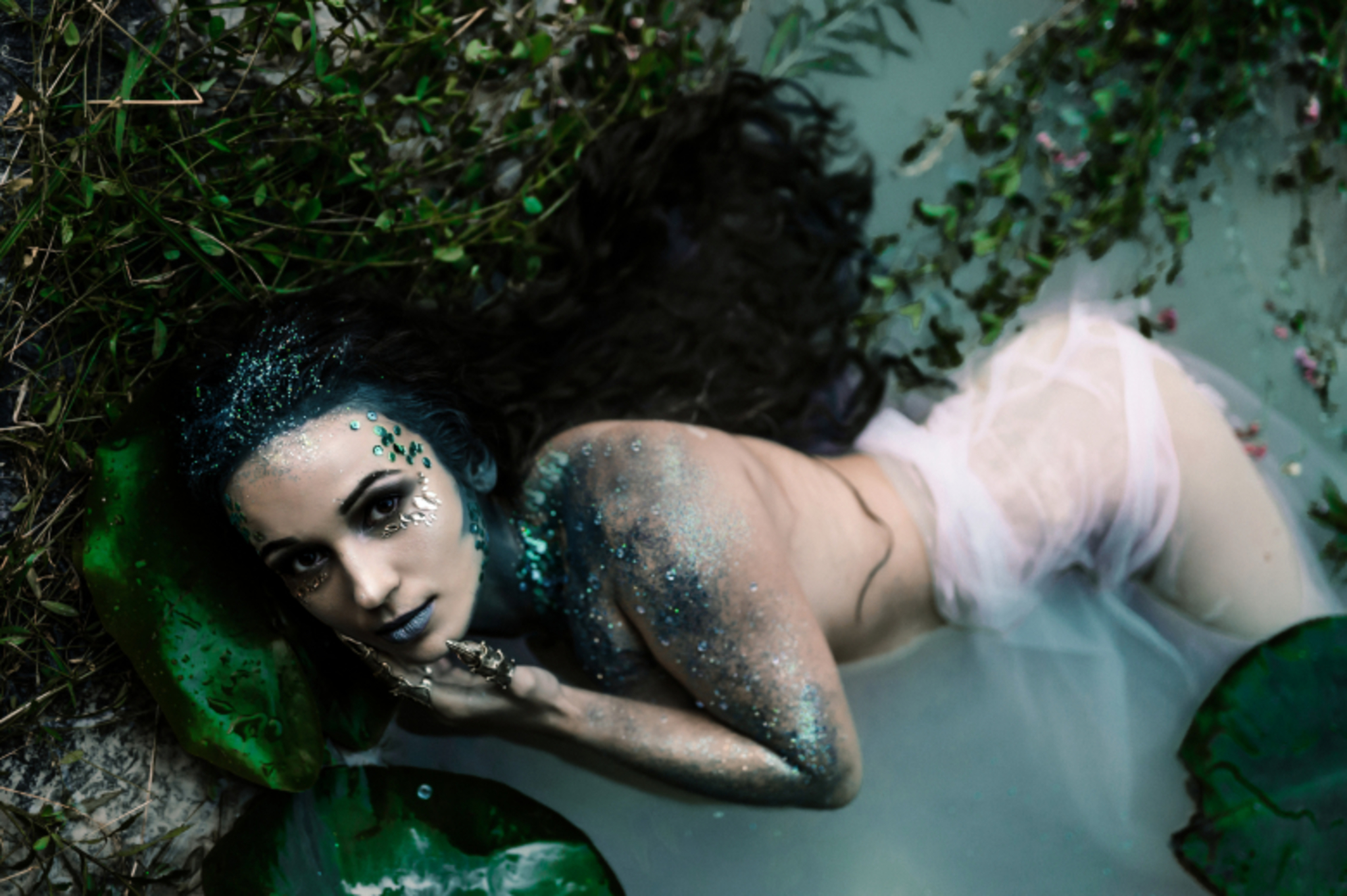 wonderland