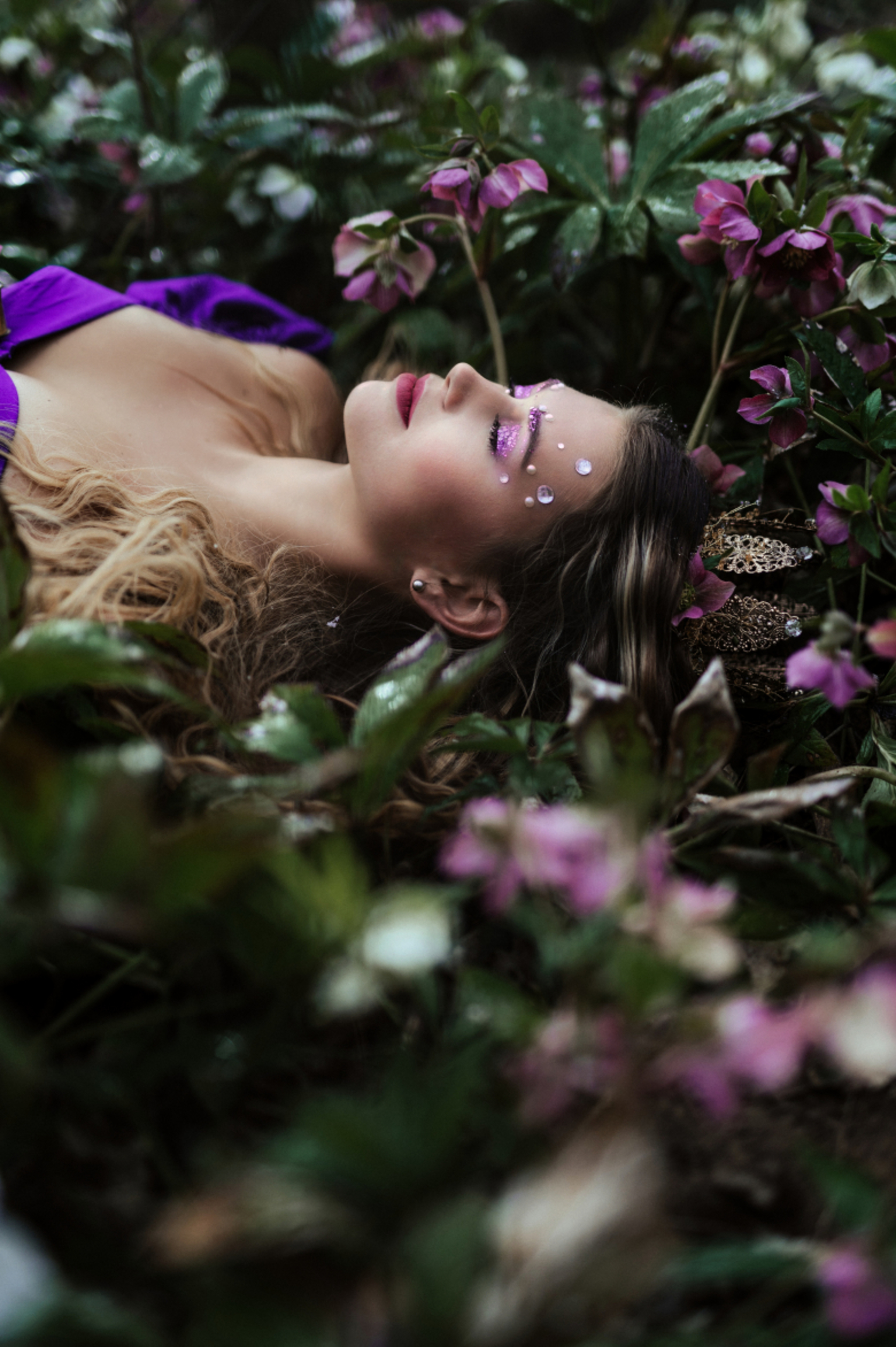 wonderland