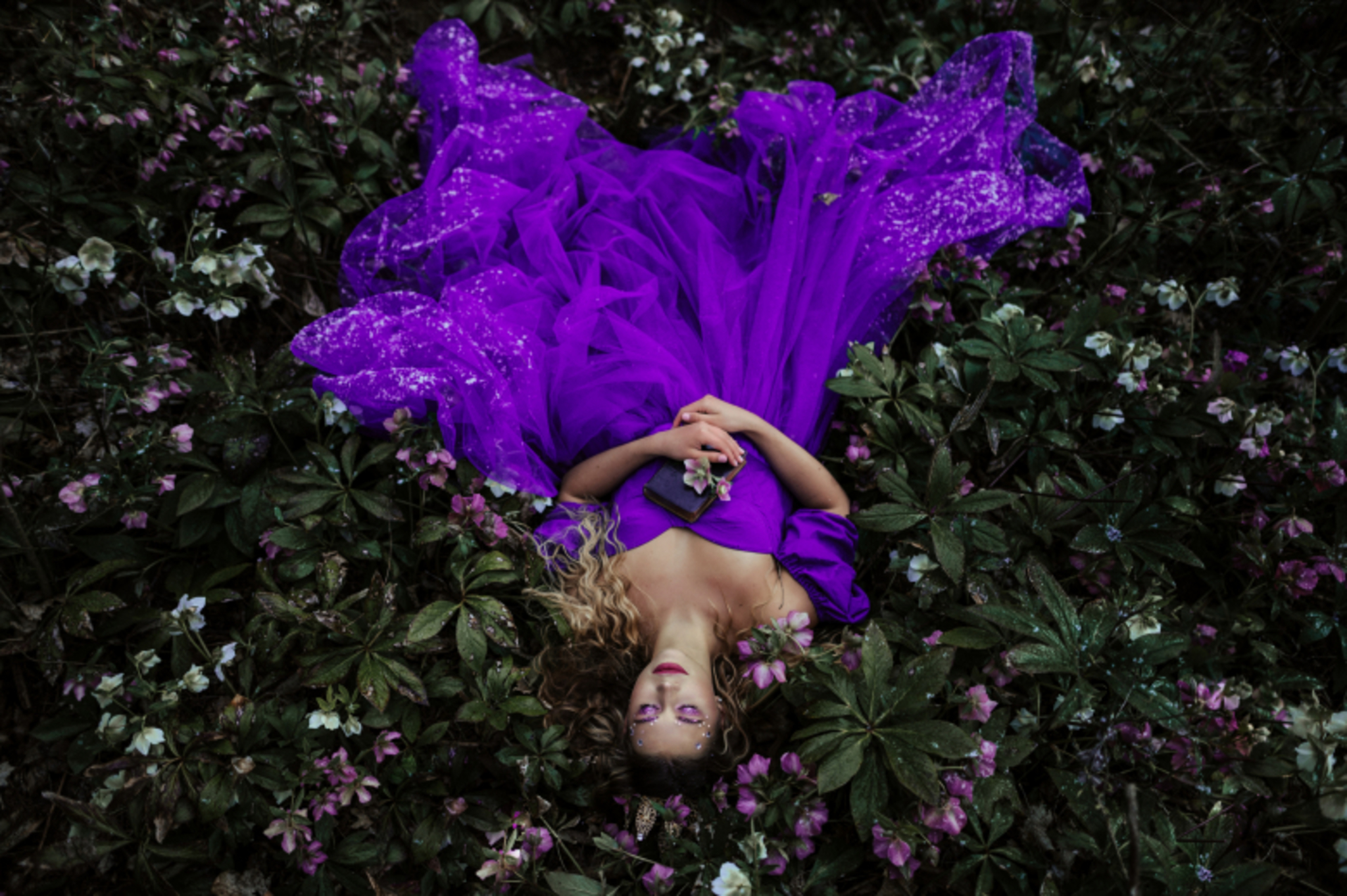 wonderland
